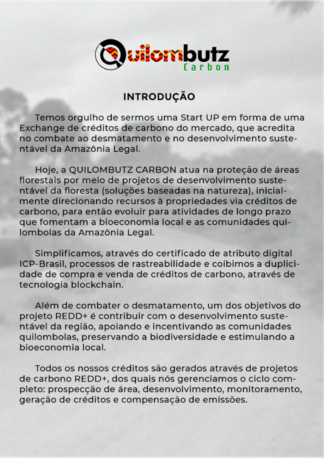 Página sobre a atuação da Quilombutz Carbon